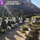 광영수의 이미지