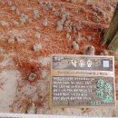 단양별빛한옥민박 이미지