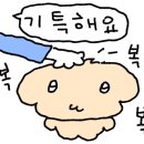 댕실댕실 이미지