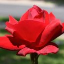 일만농장 이미지