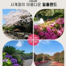 애견랜드 | 제주 일출랜드 (미천굴), 애견동반 여행 솔직 후기