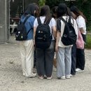 엘티마트