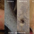 경희광택 이미지