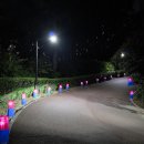 청사초롱 이미지