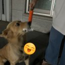 견생냥품무인24시순천
