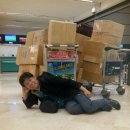 레드플라워(RED FLOWER) 이미지