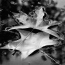 아름다운여행 이미지