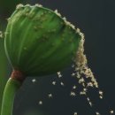 한국카메라박물관 이미지