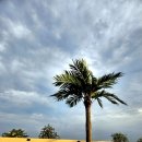 아쿠아 파크 이미지