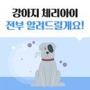 상록동물병원 이미지