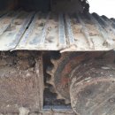 이글농장 이미지