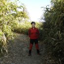 영도대교1 이미지