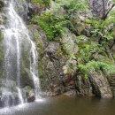 센텀행정사사무소 이미지