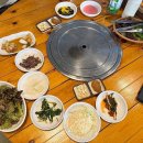 팔공산오리 이미지