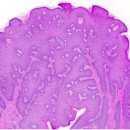 서울아산비뇨의학과의원 이미지