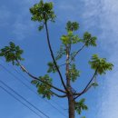 가중농장 이미지