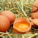 주현2농장 이미지