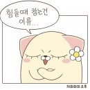 국수상회
