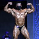 역발산센터 스포츠서울