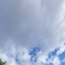 바스라밧데리 네이버블로그