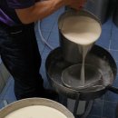 신갈수지 이미지