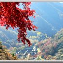 만추 - 여수시 | 만추