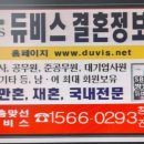 듀비스결혼정보 이미지