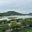 아이에서동서(주)창녕지점 | 스타벅스 물왕호수점 주차 팁, 주말 오전에 다녀온 후기