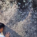 소원식당 이미지