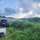 일등태양광발전소 이미지