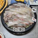 회신물회 | 대구횟집 추천! 신선함이 남다른 침산동맛집 ‘회신물회’ 방문 후기