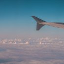 댕교오겠습니다 이미지