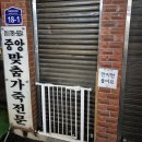 2025 W25 룰루