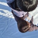 사계약국 | 비에이 버스투어 자유시간 : 비에이마을 구경(쥰페이 약국 사계의집 비에이역)