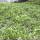 새힘농장 이미지