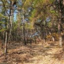 천생산산림욕장(중)화장실 이미지