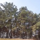 하늘숲민박 이미지