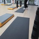 핏클러스터 이미지