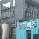 여행공장 | [제주여행] 제주맥주 공장 도슨트 후기｜제주맥주 양조장 투어 체험 솔직리뷰 (무알콜·맥주 선택 가능)