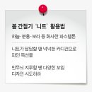 스케치니트