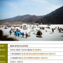 동막골 티스토리