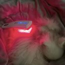 두카메디컬센터 이미지