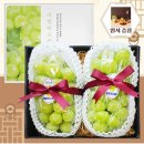 브라더샤인