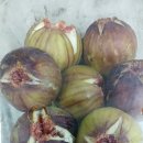 덕곡주유소 이미지