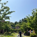 소더스111 이미지