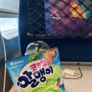 온유농장 | 25.09.14-16 / 광주광역시