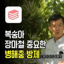 화순군농업기술센터 | 복숭아 재배 장마철 중요한 병해충 방제(화순군농업기술센터 고재권)