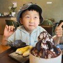 퍼독 애견호텔 이미지