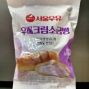 지에스25이문래미안점 | GS25 신상 서울우유 우베크림소금빵 후기