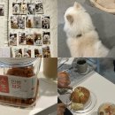 카페느루 | 부산 화명동 실내 애견동반이 가능한 [카페 느루] 내돈내산 후기